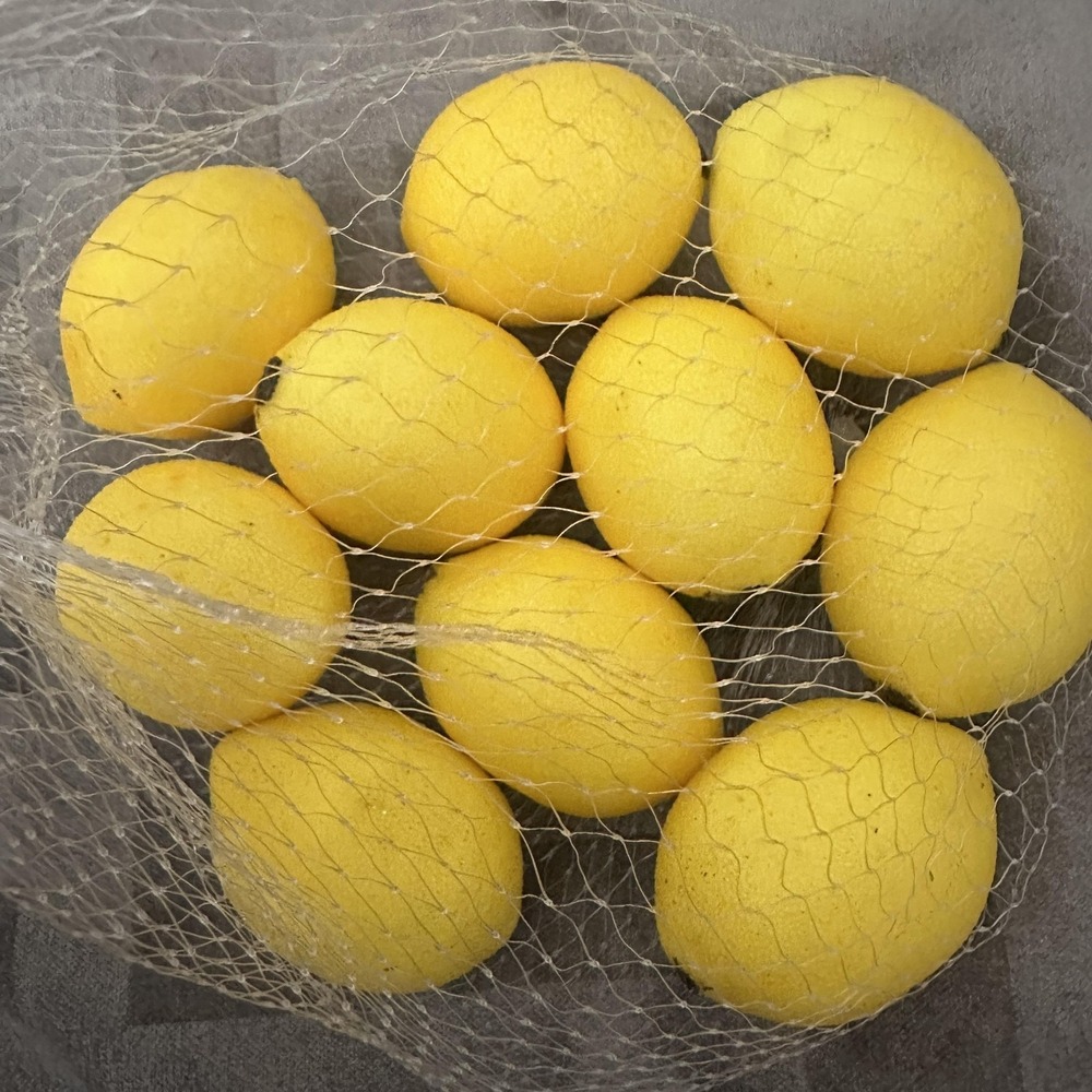 Ashland Faux Lemons Set‎ Of 10 Yellow Plastic Fruit Kitchen Bowl Filler Decor